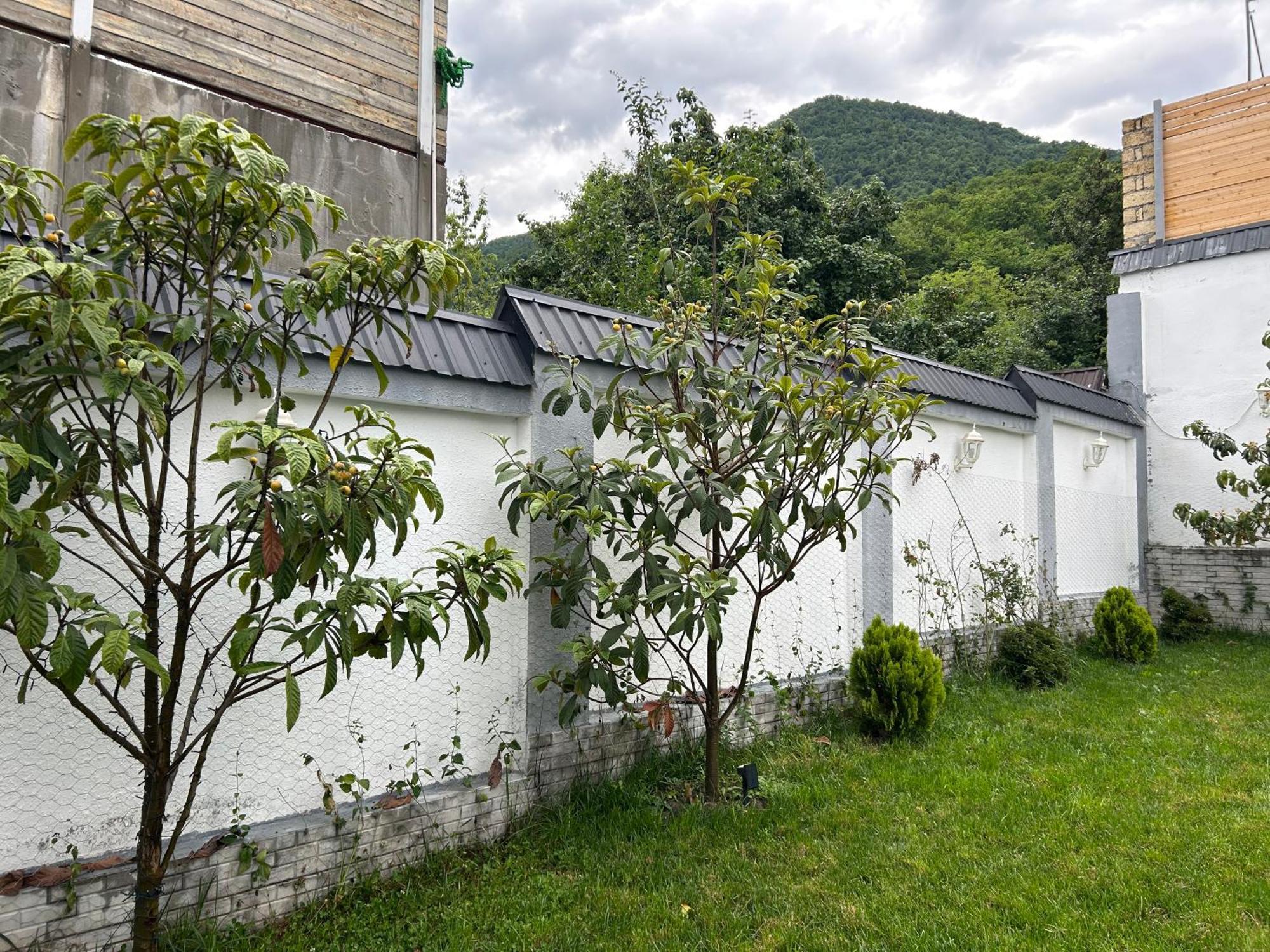 Qafqaz Mountside Chalet Габала Экстерьер фото